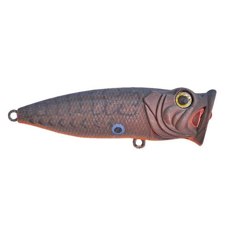STRIKE PRO Twitching Pop - A18, [fishing tackle], [fishing lures] - Tackle Online Australia 