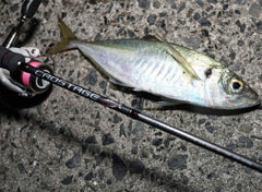 AJI Fishing Tackle