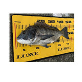 GAMAKATSU Luxxe Fish Measure Mat Brag Mat, [fishing tackle], [fishing lures] - Tackle Online Australia 