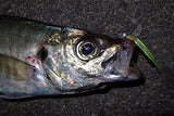 BERKLEY Ajident Aji Jig Heads - 1.25g, [fishing tackle], [fishing lures] - Tackle Online Australia 