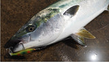 MARIA Fla-Pen Blue Runner Slow Sinking Stick Bait Lure - 115mm, [fishing tackle], [fishing lures] - Tackle Online Australia 