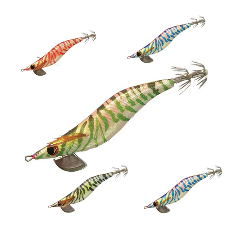 ASARI Squid Jigs ( CLEARANCE SALE )
