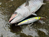MARIA Rerise S105 Slow Sinking Stickbait Pencil Lure 130mm - B01H, [fishing tackle], [fishing lures] - Tackle Online Australia 