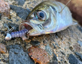 Yellow tail aji magbite lure jig head upper cut