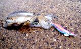 DUEL EZ-Q Finplus Squid Jigs - 3.5, [fishing tackle], [fishing lures] - Tackle Online Australia 