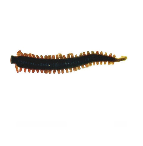 BERKLEY GULP Sandworm - Camo - Tackle Online Australia